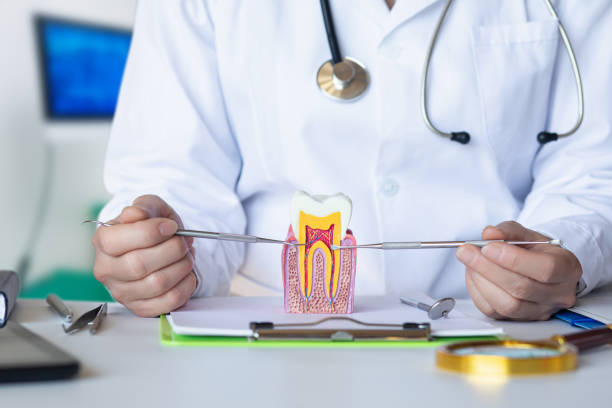 Best Urgent Dental Care for Toothache in Sparta, IL